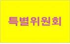 특별위원회